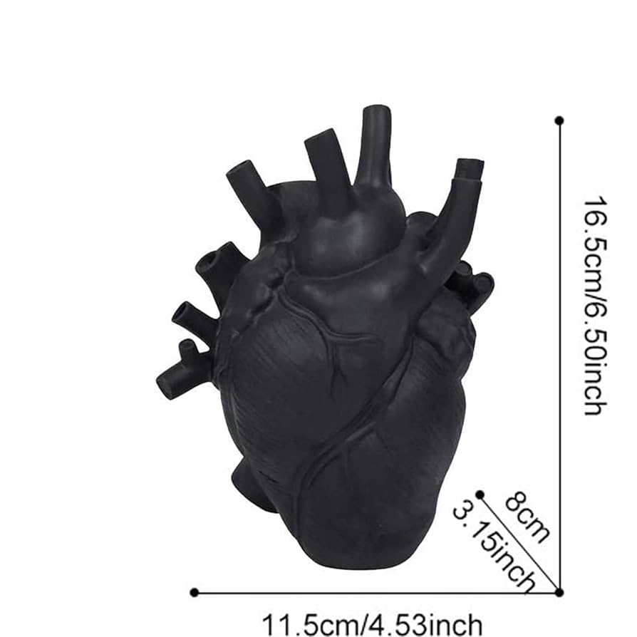 Amazon.co.jp: 花のための解剖学的な心臓の花瓶創造的なハート型
