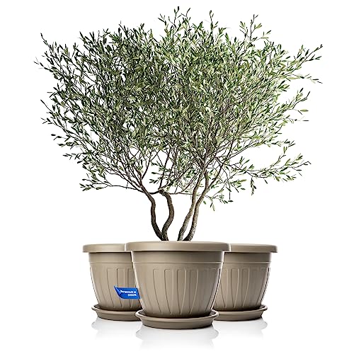 BigDean 3x Blumentopf mit Untersetzer rund ø50xH38 cm Mokka/braun - wetterfester Pflanzkübel - Wasserablauf UV-beständig aus bruchsicherem Kunststoff - Innen + Außen geeignet - Made in Europe