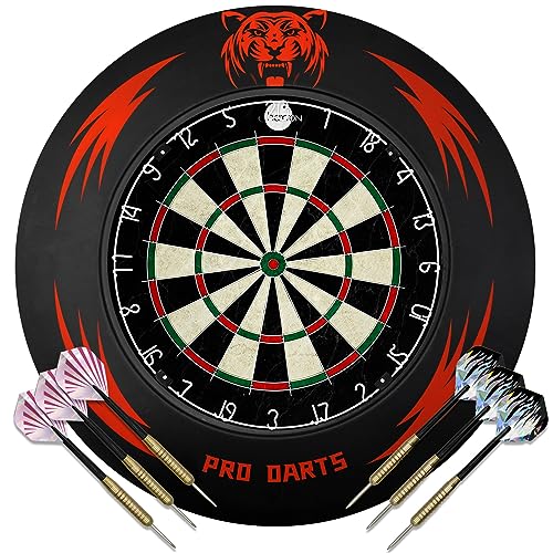 Dart Zahlenring Die 16 besten Produkte im Vergleich Ruegeninsel