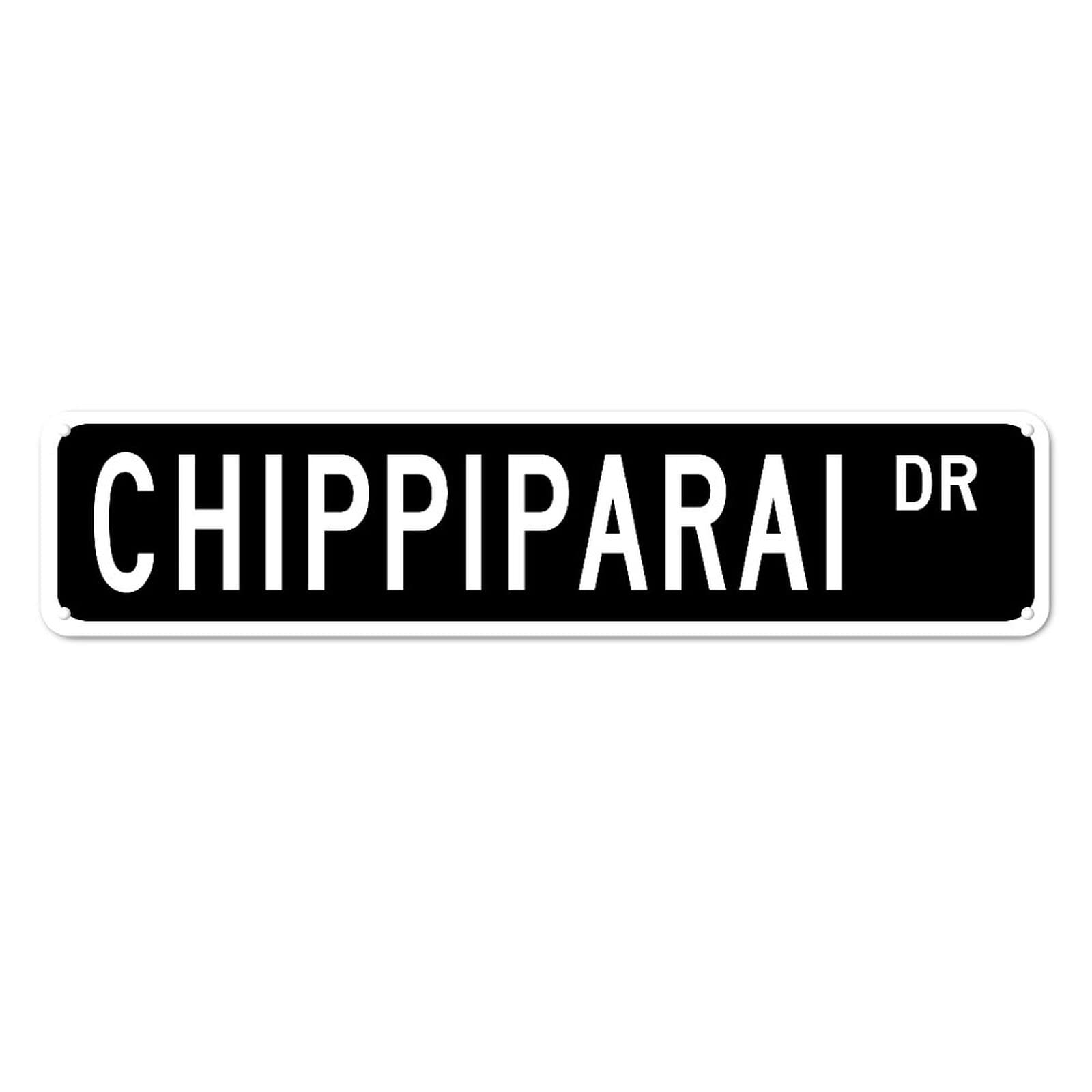 Chippiparai DR Retro Tin Signs Aluminum Metal Sign Gift for Home Kitchen Garden Yard Wall Non-Fade Decor 4x16 Inch