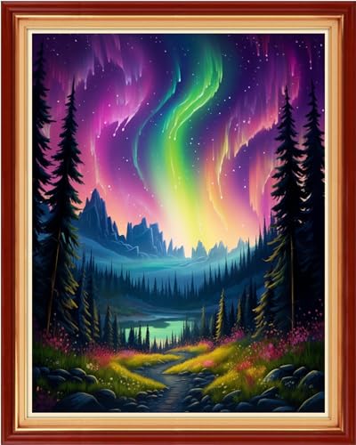 Image of Dooxvey Cross Stitch Kit for Adult Beginners - Full Range of Stamped Kits - 11CT Cross Stitch Patterns - Northern Lights Scenery - 16x20 inch