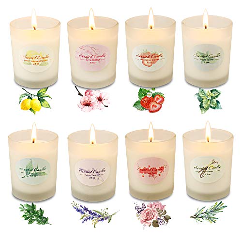 YINUO LIGHT Scented Candles 2.5 Oz Glass Soy Candles Gifts for Women, 8