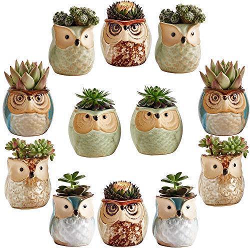 Sun-E 2.5 Inch Owl Pot Ceramic Flowing Glaze Base Serial Set Succulent Plant Pot Cactus Plant Pot Flower Pot Container Planter Bonsai Pots with A Hole Idea 12 in Set Sun-E 2.5 Inch Owl Pot Ceramic Flowing Glaze Base Serial Set Succulent Plant Pot Cactus Plant Pot Flower Pot Container Planter Bonsai Pots with A Hole Idea 12 in Set