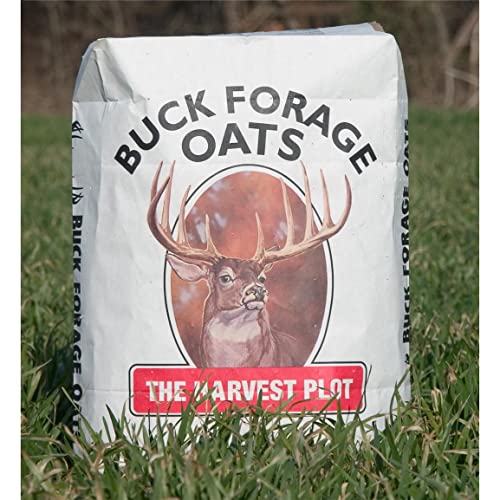 SeedRanch Buck Forage Oats