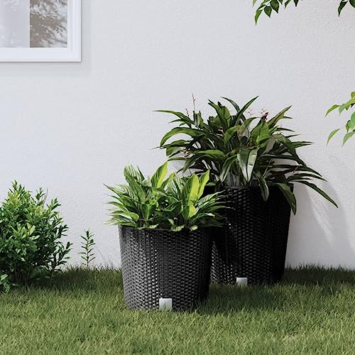 Jardinière anthracite : finis les rempotages difficiles grâce à l'insert 15L