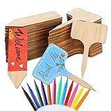 Sntieecr 60 Pieces 2 Sizes Bamboo Plant Labels with 12 Color Pens Set, Garden Markers T-Type Plant Tags Gardening Arrow Signs in Gift Box for Easy DIY Garden Plant Decor