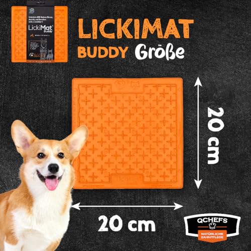 QCHEFS 2er ZAHNPUTZFLOCKEN & Lickimat Buddy M als Zahnpflege für Hunde erst Mundgeruch-Zahnstein-Zahnfleischentzündung Weg-mit Vitaminen und Mineralien und mit Präbiotika die Probiotika unterstützen