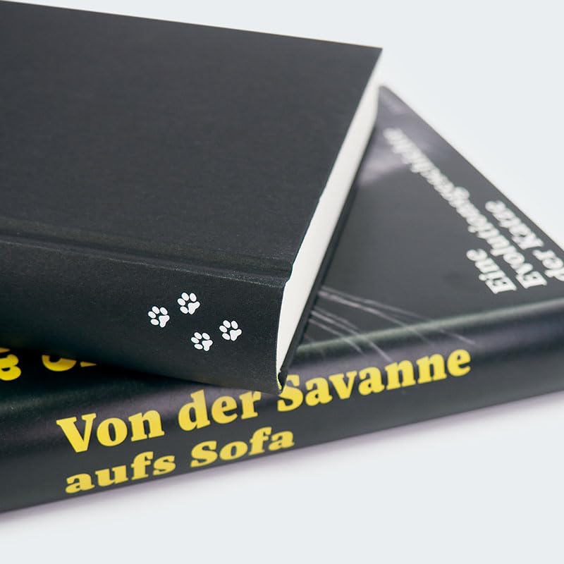 Von der Savanne aufs Sofa: Eine Evolutionsgeschichte der Katze