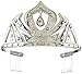 Disney Store Frozen Princess Elsa Costume Tiara Crown