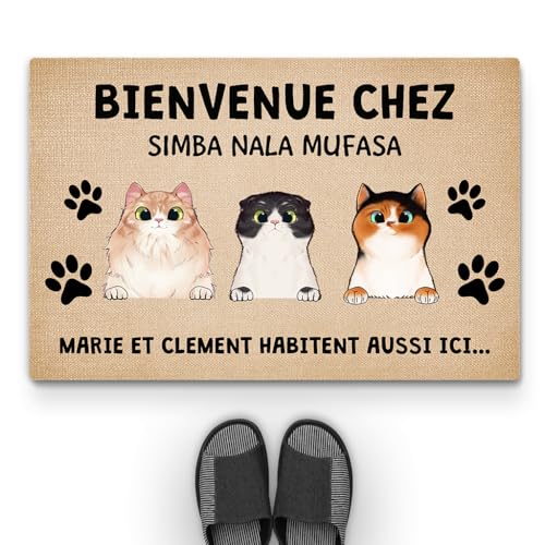 Paillasson entree pour pas de porte accueillant et convivial - 2