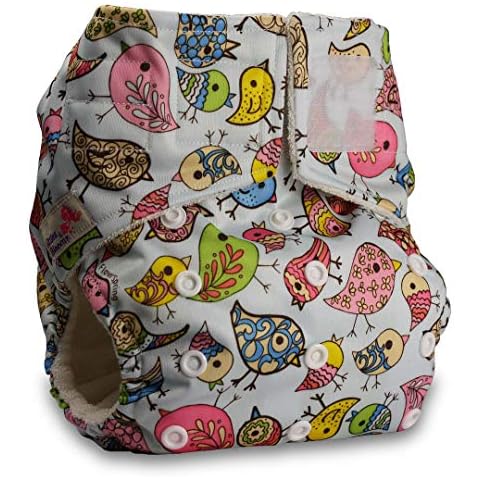 Littles & Bloomz, Baby Cloth Washable Reusable Nappy Pocket Diaper Bamboo, Fastener: Hook-Loop, Pattern 42, with 1 Bamboo Charcoal Insert Cover