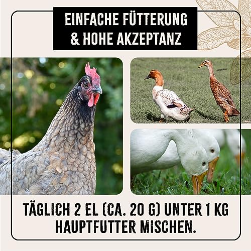 AniForte Wohlfühlkräuter für Hühner 500 g - Natürliche Kräuter für Geflügel unterstützen Immunsystem & Verdauung, Leckerchen für Hühner jeden Alters, mehr Vitalität