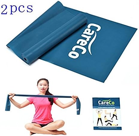 EXEFIT Resistance Exercise Band Fitness Workouts - With Carry Bag and Instruction Book