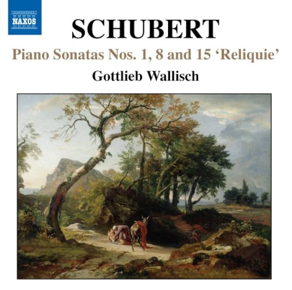 輸CD 6枚 クーパー／「シューベルト最後の6年 1823-1828」全6枚 輸