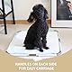 PAWISE Faltbarer Pee Pad Halter für Welpenunterlagen, Hundeunterlagenhalter, Pee Pad Tablett für Trainingspads, Welpenunterlagenhalter (53 cm x 53 cm)