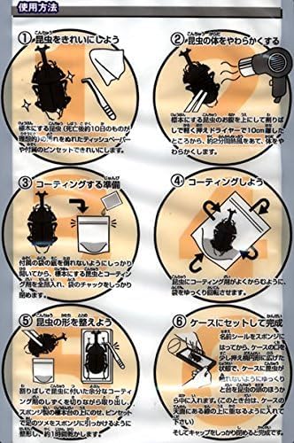 Amazon.co.jp: フジコン 標本LABO 標本ラボ 昆虫標本キット かんたん