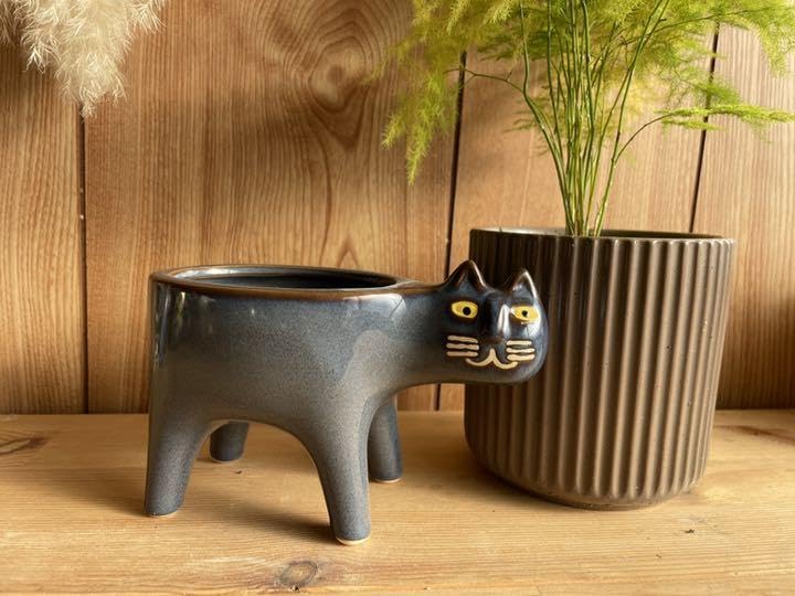 Amazon.co.jp: 猫の植木鉢 ポット 猫型プランター ネイビー 多肉植物