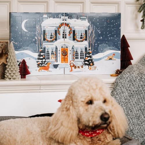Wild&Seed Adventskalender für Hunde 25 natürliche Hundesnacks & Premium Leckerlis zu Weihnachten Getreidefrei, ohne Zusätze, hypoallergen Adventskalender Hund groß & klein, 1 Stück