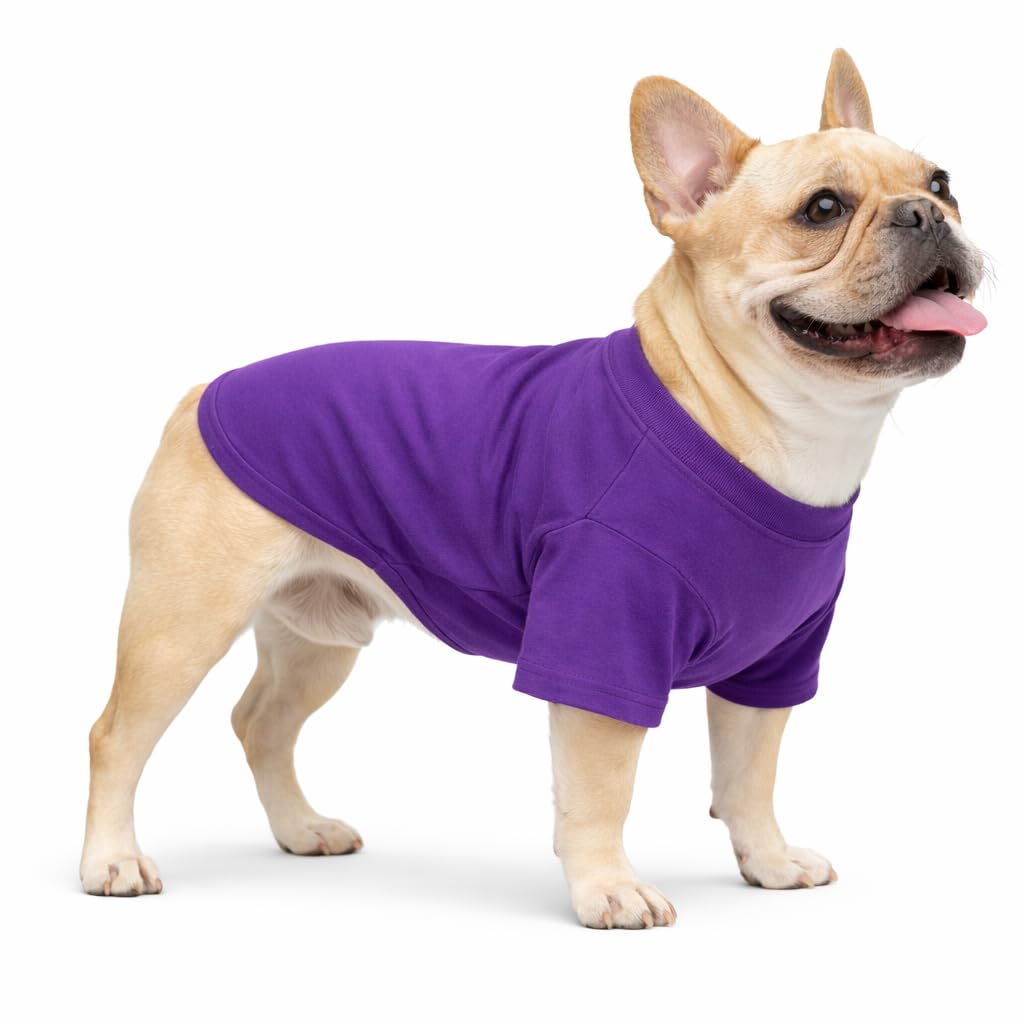 T-shirt bouledogue français anti grattage coton pour peau sensible