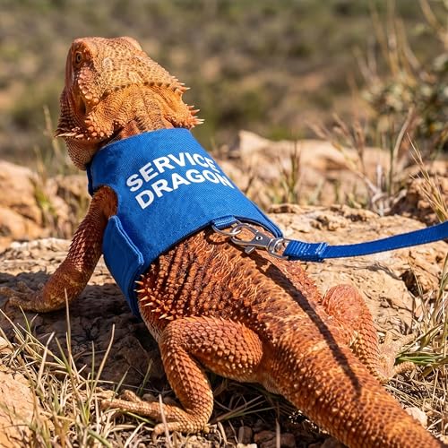 Image of Bearded Dragon Harness and Leash Set - Escape Proof Adjustable Lizard Reptiles Harness with 5 ft Short Leash for Walking Outdoor