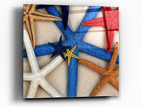 Cortesi Home Decorativo de Cristal Templado de Estrella de mar Deseos, 12 'X 12' (Set de 2)