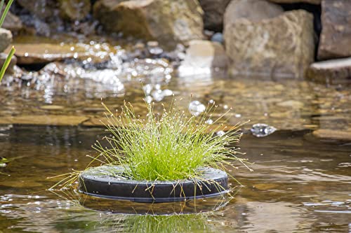 PondH2o Floating Planter