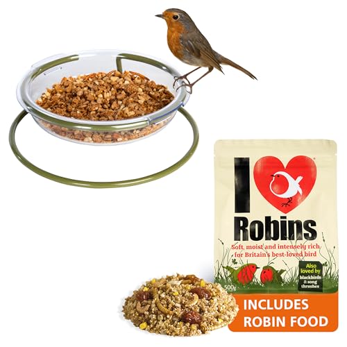 Ground bird feeder with robin food - Mealworm And Robin Bird Feeder Jacobi Jayne I Love Robins Easy Clean Treat Dish and food - Ground Bird Feeder - Robin Feeders For The Garden