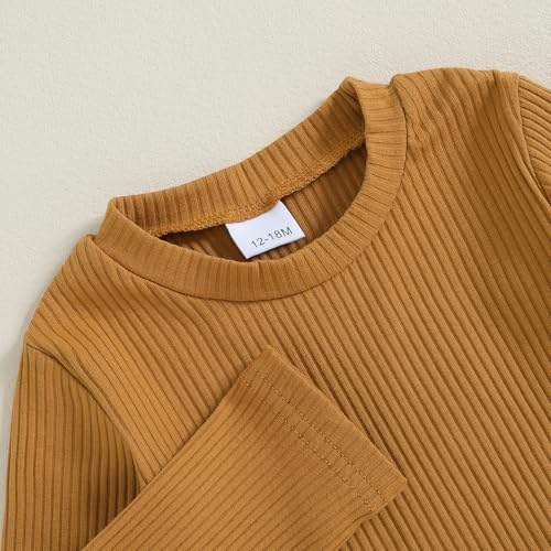 Toddler Girl Fall Outfits Bib Overalls Jumpsuit Set Long Sleeve Ribbed Top Rainbow Suspenders Pants 2-Piece Clothing4