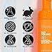 Pacifica Facial Sunscreen - Sun Dreams Illuminating SPF 30 Foam Broad Spectrum Every Day Face Lotion UVA/UVB Protection