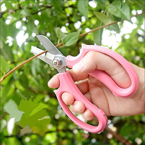 Qisebin Floral Shears, Garden Shears Comfort Grip Handle, Premium Steel Professional Floral Scissors, Perfect For Arranging Flowers, Pruning, Trimming Plants, Gardening Tool (Pink),Sm-Jd-F2 #TOP6