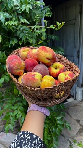 Image of Himalayan Haat Spiced Peach Preserve - Handmade Low Sugar Fruit Jam | 70% Fruit, 100% Natural | Farm Fresh Himalayan Ingredients | No Preservatives, Refined Sugar or Artificial Ingredients | 240g