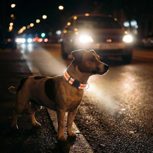 Collar reflectante para perro tamaño S color naranja miniatura 6