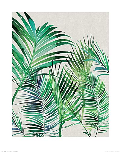 El Arte Grupo Summer Thornton Hojas Palmera – Lámina