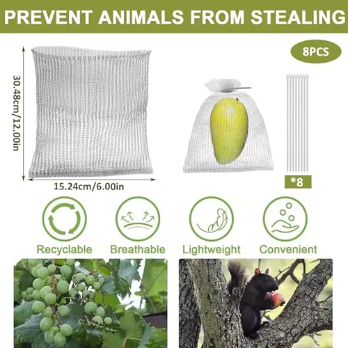 Bolsas protectoras para frutas que evitan plagas en los árboles 6