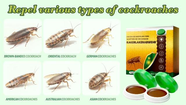10 Pièges à Cafards Puissants Non Toxiques - Piège Anti Cafard Et Fourmis Intérieur Extérieur Cuisine Bureau