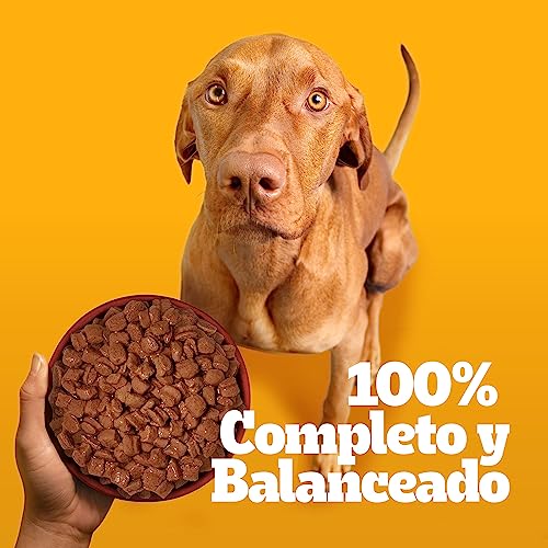El Mejor Listado de Croquetas pedigree Top 5. 24 Imagen adicional