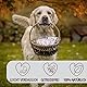 PetLove Fleisch Softies für Hunde • Hundeleckerli ohne Getreide • 63% Fleischgehalt • Hunde Leckerlis für Training • Strauß (200g)