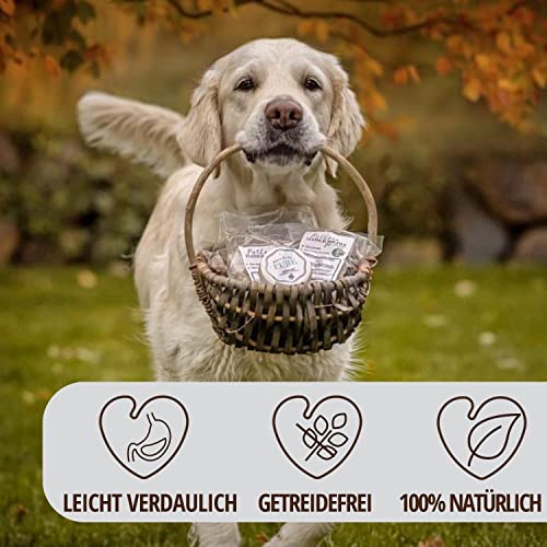 PetLove 100% Fleisch Softies für Hunde • Hundeleckerli ohne Getreide • Hoher Fleischgehalt • Hunde Leckerlis für Training • Mix (Gans, Lachs, Kaninchen, Strauß) 6X 4er Mix (24 Tüten)