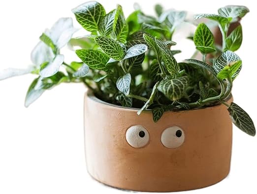 Amazon Co Jp Wjfmzs プランター植物ポット ハーブサボテン多肉植物つるのためのカラフルな大きな目漫画植木鉢 子供バスケット漫画屋内屋外ガーデンパティオのための面白いセメント花瓶の装飾 Diy 工具 ガーデン