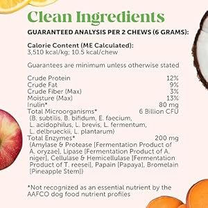 Pet honesty probiotics for dogs dog probiotics for diarrhea  bowel support digestive enzymes promotes gut health immunity health  itch relief prebiotics and probiotics pumpkin 90 ct   cucciolini doodles