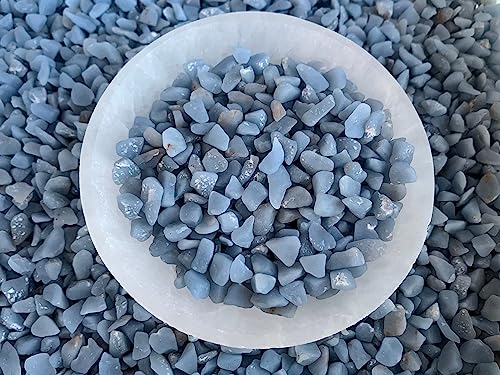 Image of GAF TREASURES 2 oz Lot Natural Angelite Semi Tumbled Gemstone Chips, Crushed Mini Crystals, Undrilled Crystal Chips (Angelite)