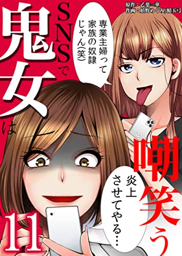 SNSで鬼女は嘲笑う :11 (ティラミス)