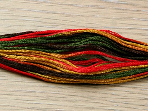 DMC Coloris Stranded Cotton Embroidery Thread 4511 Ete Indien - per skein