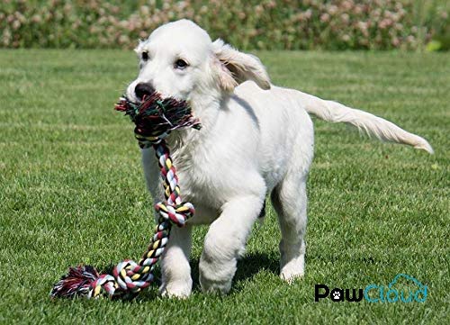 Image of Cotton Chew Dog Rope Toy, 14 Inch Large, 3 Knot - Multicolor