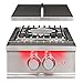 TrueFlame Built-In Stainless Steel Power Burner - TFPB-LP