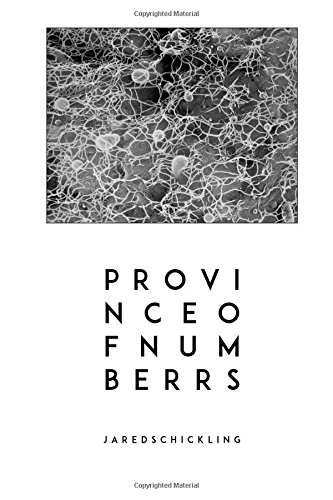 Province of Numb Errs