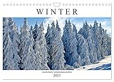 Winter. Zauberhafte Schneelandschaften (Wandkalender 2023 DIN A4 quer), Calvendo Monatskalender - Rose Hurley 