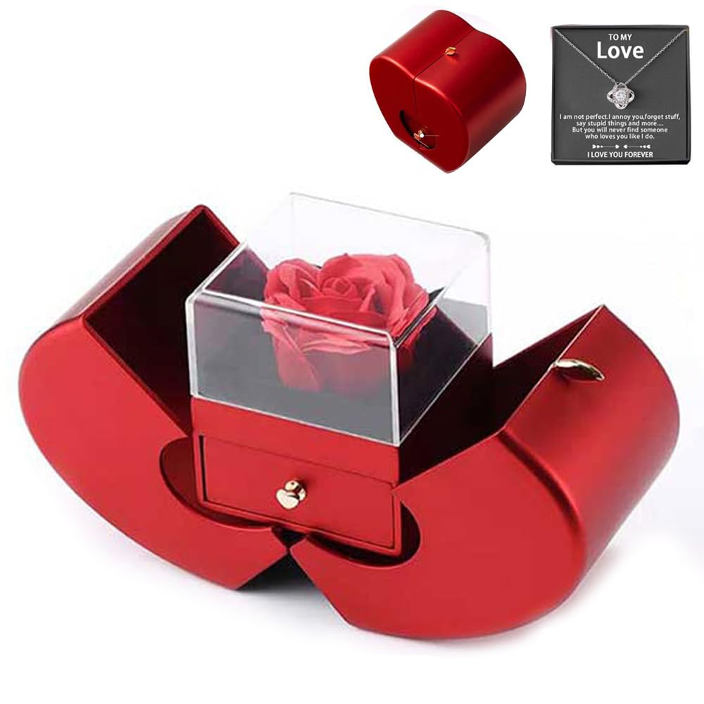 GIVOKEPreserved Rose with Necklace, Eternal Flower Rose Gift Box, Romantic Gift for Her Woman Wife Girlfriend Mother on Birthday Anniversary Valentines Christmas Mothers Day (LOVER, silver)