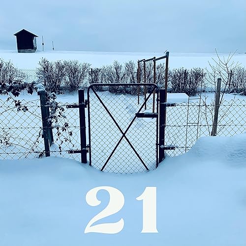 Adventskalender - #21 Paprika - rote Augsburger