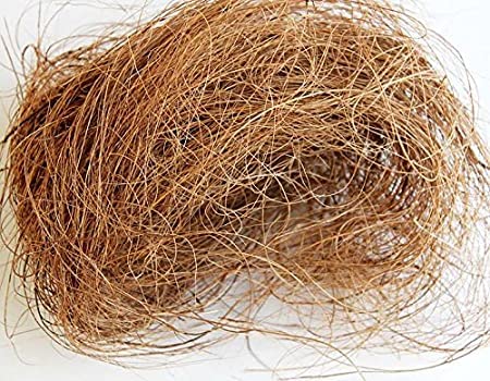 RKV Natural Coir Fiber Nesting Material for Birds for Making Nest, Laying Eggs (200gm) (B09LYMY8ZC) Amazon Price History, Amazon Price Tracker